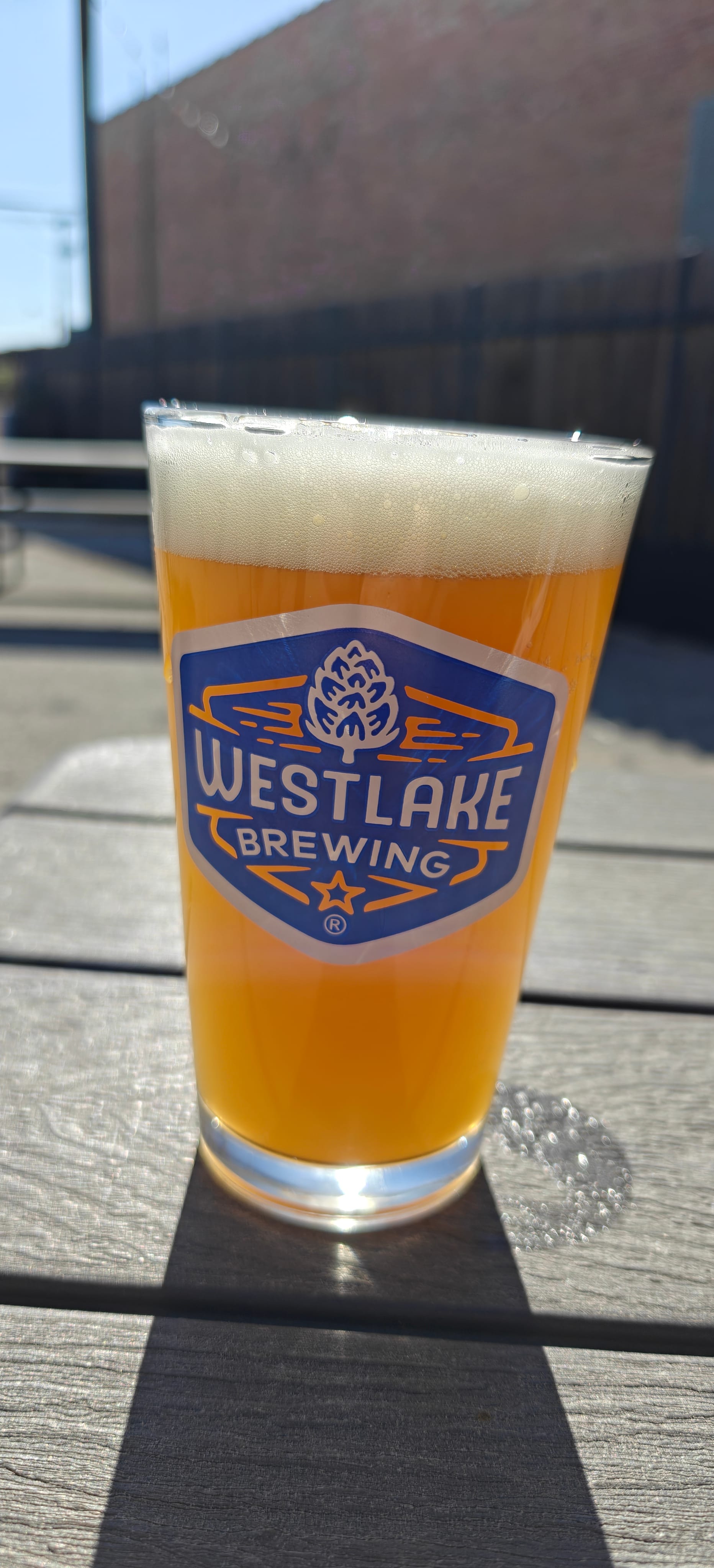 A week at Workplace Ninjas US 2025