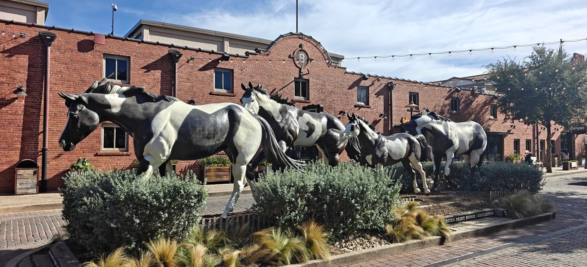 A week at Workplace Ninjas US 2025